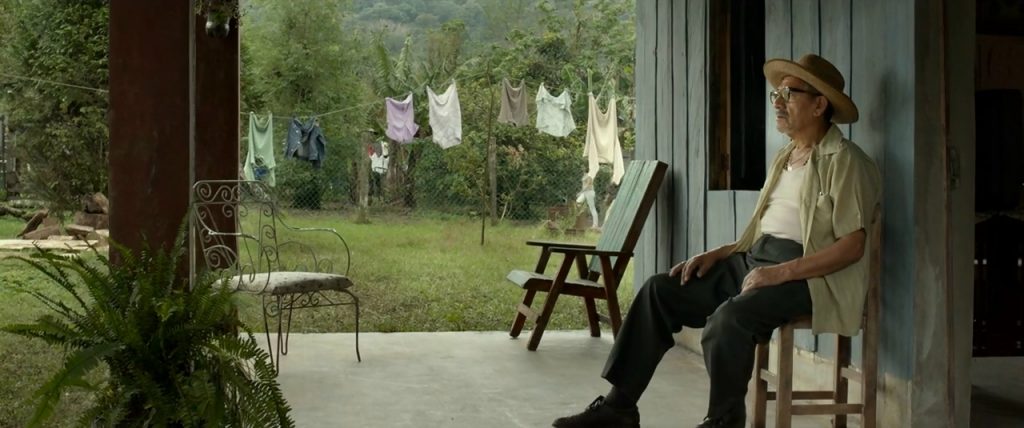 dreaming in another language