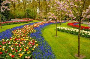 Keukenhof Gardens Lisse Netherlands