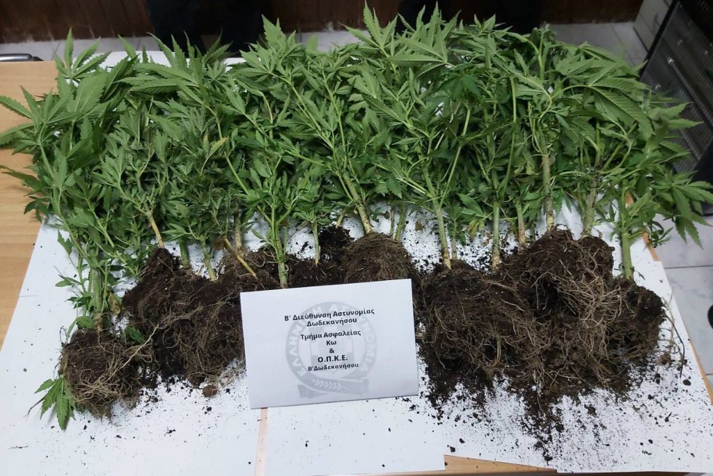 SYLLHPSH KALLIERGEIA NARKOTIKON KOS F1