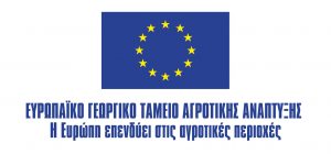 flag eu slogan