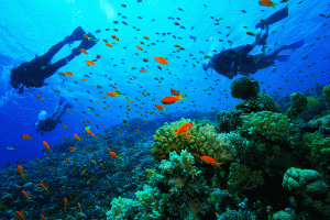 scuba diving skopelos0250 b