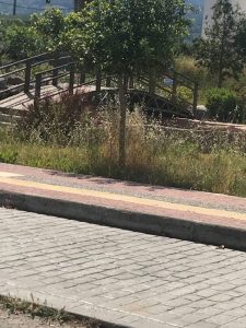 ΖΗΠΑΡΙ4