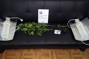 SYLLHPSH KALLIERGEIA KANNABHS KALYMNOS F