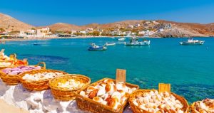 shells for sale port boats blue sea pserimos dodecanese routes