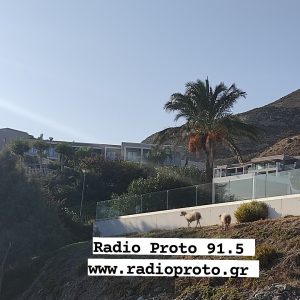 thumbnail IMG 20201123 091125 110