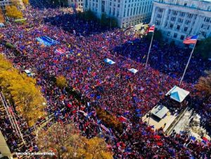 trump protestors