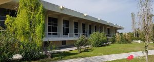 International Hippocratic Foundation ext