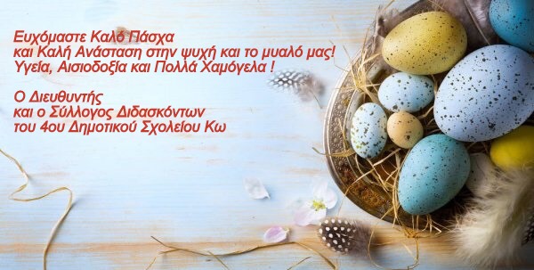 177232461 2895247534065617 5199116516558651159 n