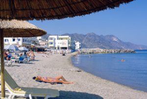 paralies