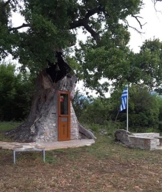 210800429 135330472011702 4413031520843264479 n