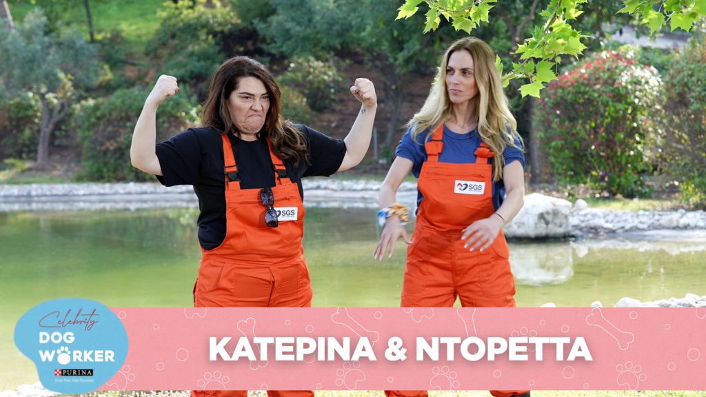 b622ea4b fd2e dc86 fd08 ce40dba6bfff