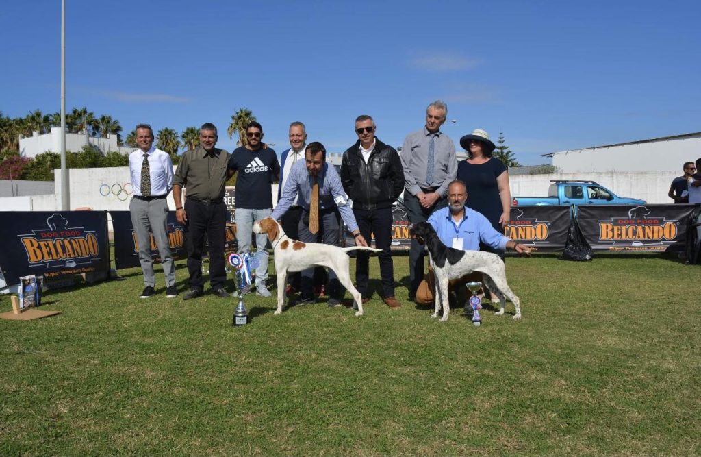 IMG 4f311e4dbfb2b7ae20c059247c2ce3b1 V