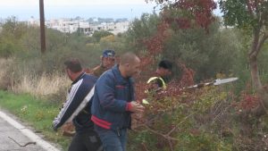 κλαδεματα κοινοτητας 1