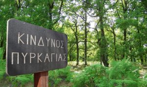 kindynos pyrkgias
