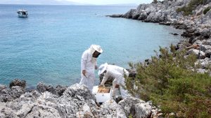 meli vraxwn kalymnos gastronomos2232