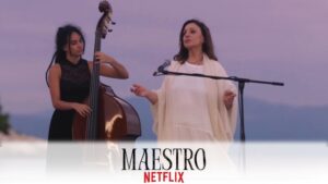 Cover Maestro