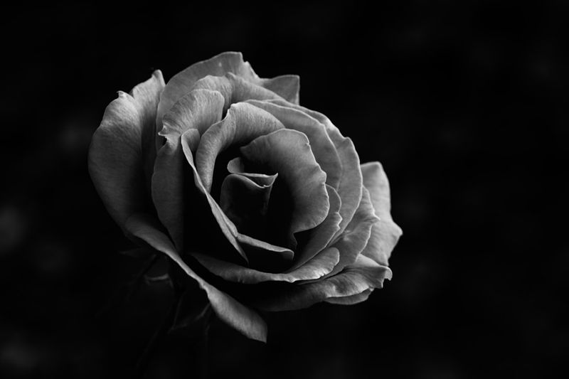 e087a3a0 3ff0 4744 b039 56ecd3a39d77