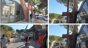Στιγμιότυπο οθόνης 5