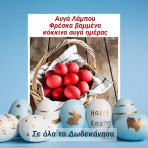 FB IMG 1680769626011