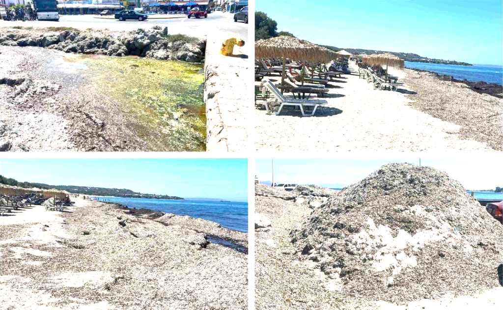 Screenshot 2023 08 03 012916