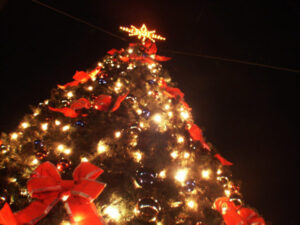 anamma xmas tree chalkida off