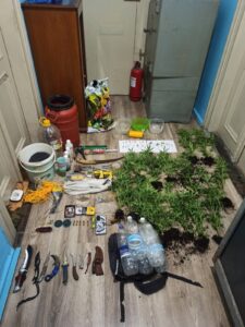 SYLLHPSH FYTEIA KANNABHW KALYMNOS F3