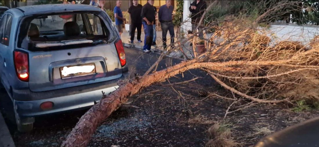 Screenshot 2024 05 31 015531