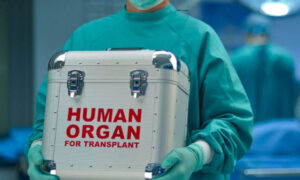 dorea organon