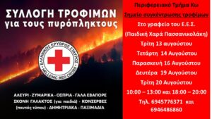 Πυρόπληκτοι Αττικής Αύγ. 2024