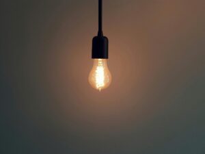 bulb scaled 1