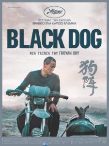 Black Dog 2024
