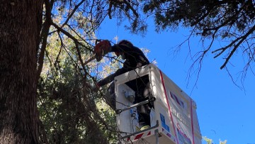 c7b5d0189d009e8b8c9af18c91ae141a m